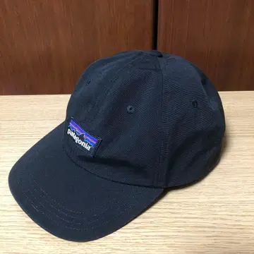 Patagonia 블랙 캡