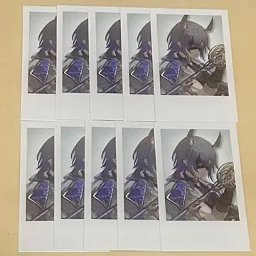 니지산지 폴라로이드 코야나기 로우