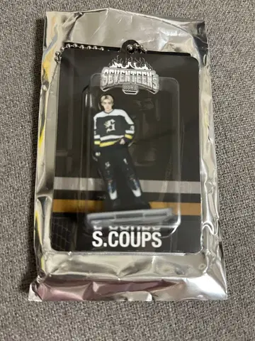 SEVENTEEN HOME 아크릴 키링 키홀더 에스쿱스