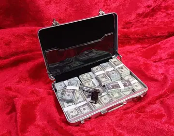 1/6 달러 지폐 알루미늄 아타셰 케이스 & SIG (제조사 불명)