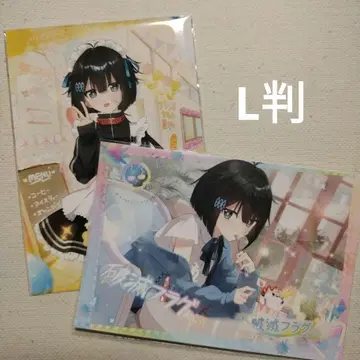 파멸 플래그 브로마이드 L판