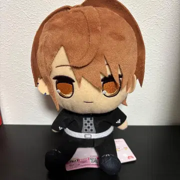 컬러풀 피치 큐루마루 BIG 봉제 인형 우리