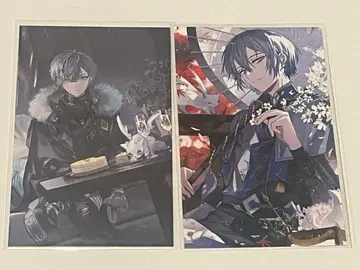 니지산지 코야나기 로우 노스탤지어 컬렉션 2025 2024