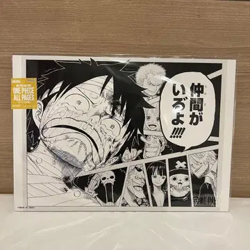 원피스 베이스샵 원화 올 페이지 동료가 있어