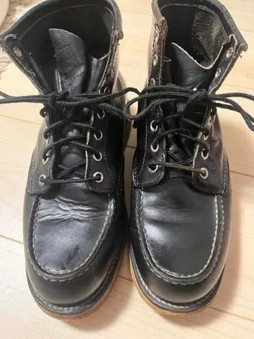 레드윙 Red Wing Irish Setter 8179 개 택