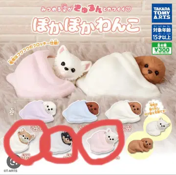 따끈따끈 강아지 가챠 치와와 3종 세트