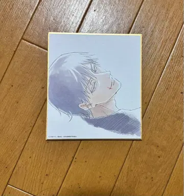 주술회전전 블라인드 미니 색지 후시구로 토우지