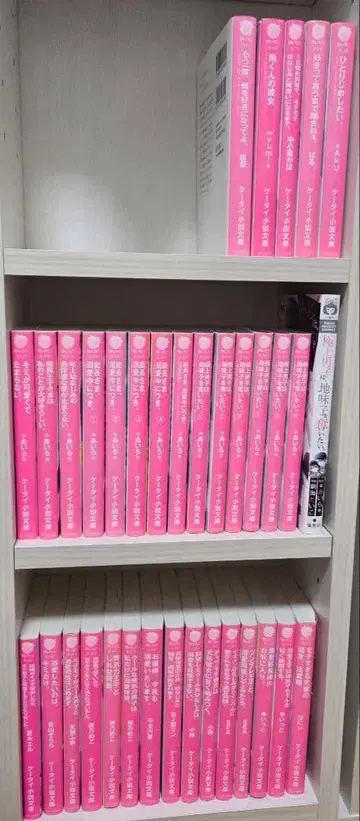 노이치고 문고 소설