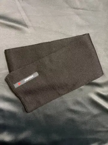 다이네즈 머플러