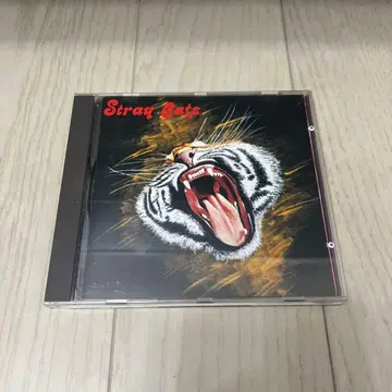 STRAY CATS 스트레이/Runaway