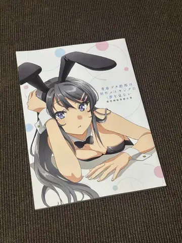 청춘 돼지 녀석은 제작 메이킹의 꿈을 꾸지 않는다