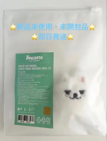 TXT PPULBATU 뿔바투 페이스 키링 연준 수빈