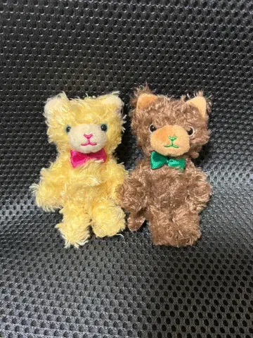 우타프리 프리캐 PRINCE CAT 쁘띠 로지 베르데