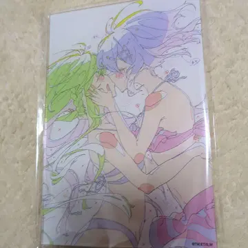 와타나레전 내가 연인이 될 리 없어 A6 아크릴 보드 애니메이션 원화 E