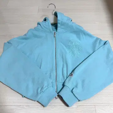 FR2 월도 숏 지퍼 후드티