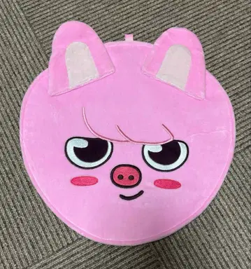 stray kids 스키즈  DWAEKKI 부채 케이스 SKZOO