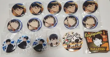 하이큐!! 카게야마 토비오