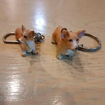 코기 피규어 키링 2개 세트