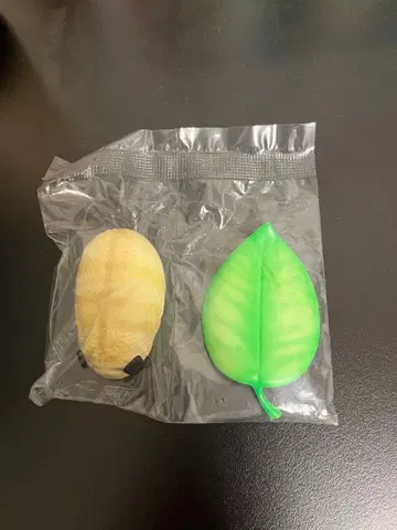 [ 미개봉 ] 퍼그 애벌레 메치사이 애벌레 동물