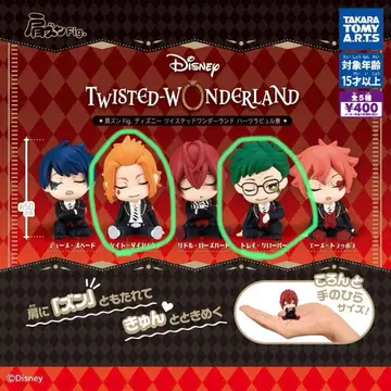 트위스테 어깨 쿵 Fig 하트라빌 기숙사 트레이 케이트 2체 세트