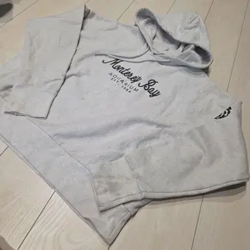 Champion 리버스 위브 후드티 그레이