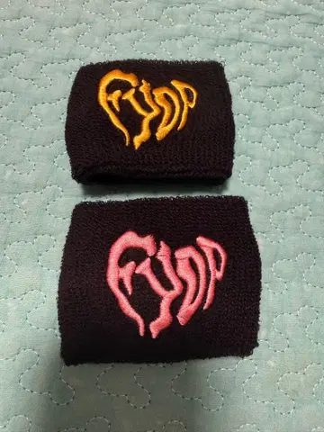 후쿠오카 공연 FYOP 리스트 밴드 미사용