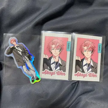 니지산지 아카기웬 GRAY x ACCENT 폴라로이드풍 카드 스티커