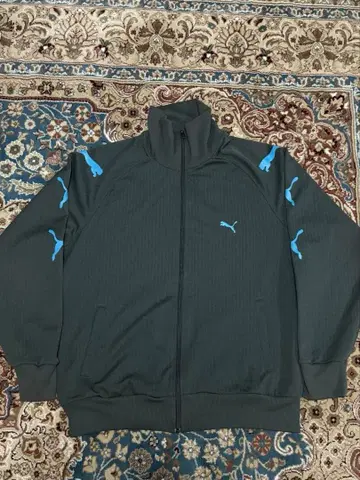 PUMA 푸마 트랙 자켓 저리 자수 로고 그레이 x 블루