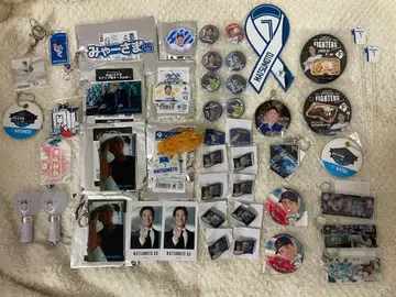 (낱개 판매 가능) 파이터즈 굿즈 세트