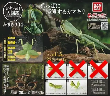 생물대도감 사마귀 무네아카하비로사마귀 성체 유체 새상품 미개봉