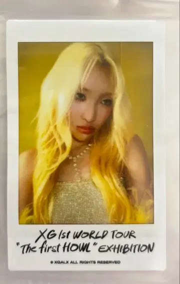 XG MAYA 폴라로이드 사진