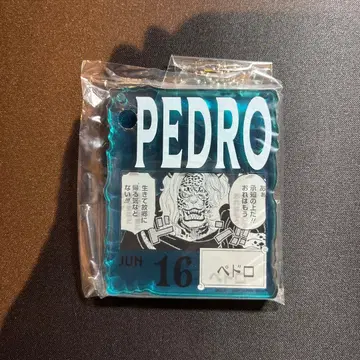 원피스 베이스샵 아크릴 블록 참 페드로