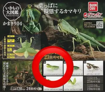 생물대도감 사마귀 04 남부점가슴사마귀 라이트 새상품 미개봉