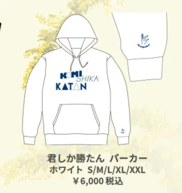 히나타자카46 L 사이즈 후드티 키미시카카탄