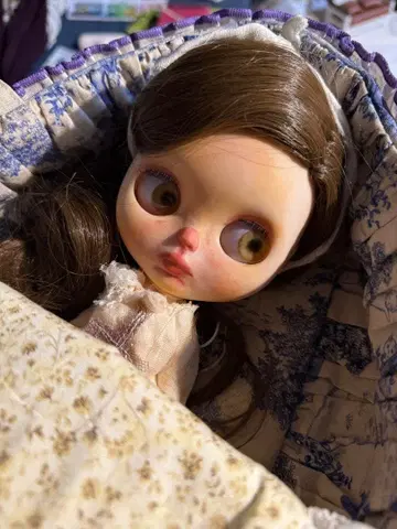 빨간 코의 여자아이 네오 브라이스 사이즈 아이시돌