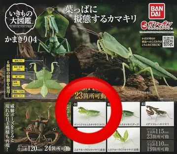 생물대도감 사마귀 04 남미알락사마귀 신품 미개봉