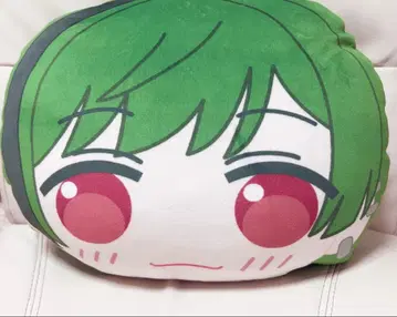 시쿠포니 스치 쿠션