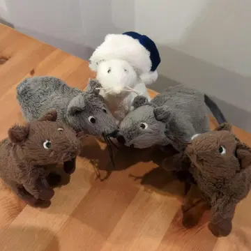 IKEA 쥐
