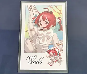 니트부 VS 크리에조 와도 폴라로이드