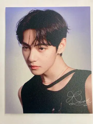 BTS V 캔버스 패널 12-1