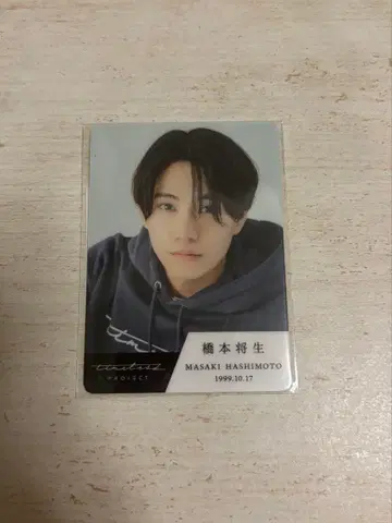하시모토 마사키 트레이딩 카드 타입 timelesz project