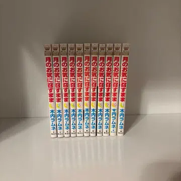 달이 당신을 기쁘게 하는 대로 11권 세트