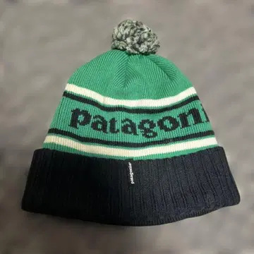파타고니아 니트 모자 파우더 타운 비니 그린