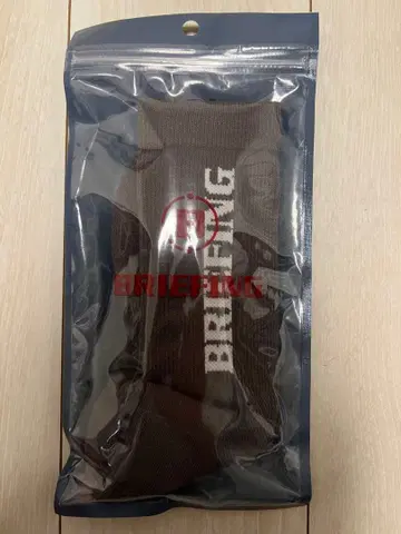 BRIEFING 그레이 삭스 로고