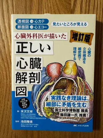 심장외과 의사가 그린 올바른 심장 해부도