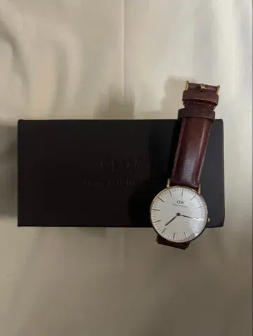 Daniel Wellington 화이트/브라운