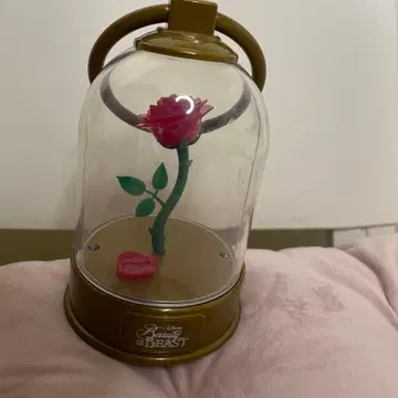 미녀와 야수 장미꽃 돔형 케이스