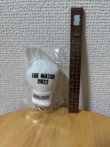 THE MATCH 2022 복싱 그로브 키링