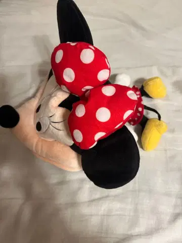 디즈니 미니 팬캡