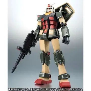 건담 리얼 타입 컬러 A.N.I.M.E. 로봇혼 ROBOT혼